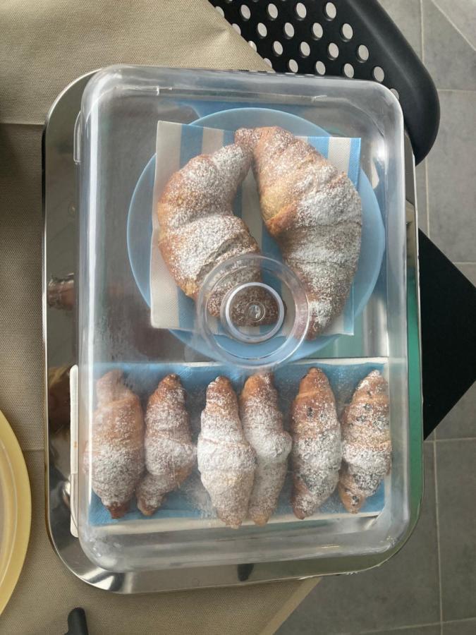 Dionea Frühstückspension