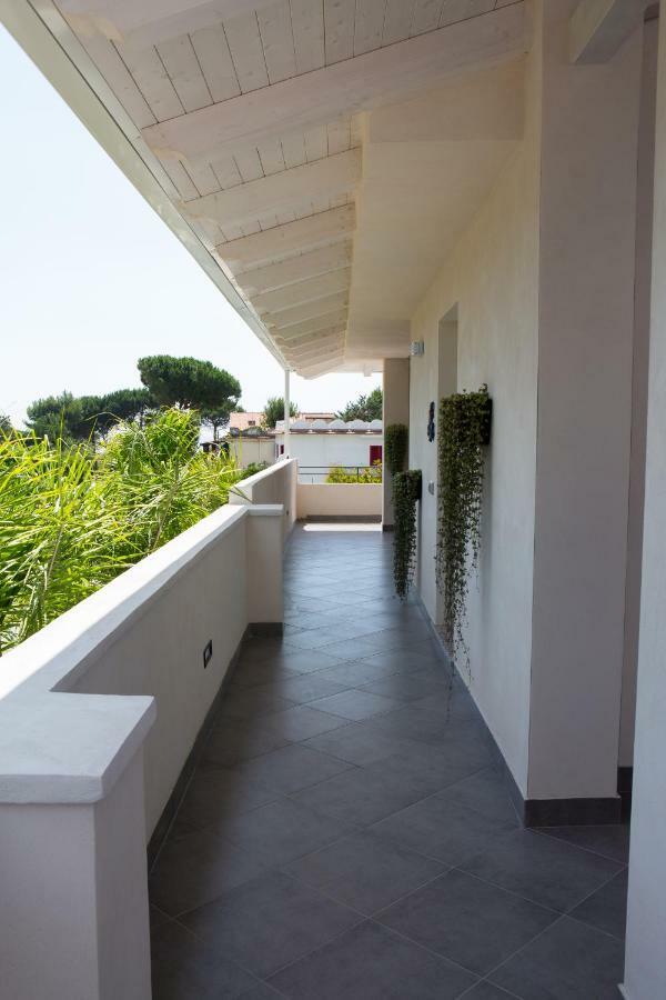 Dionea * Santa Maria di Castellabate